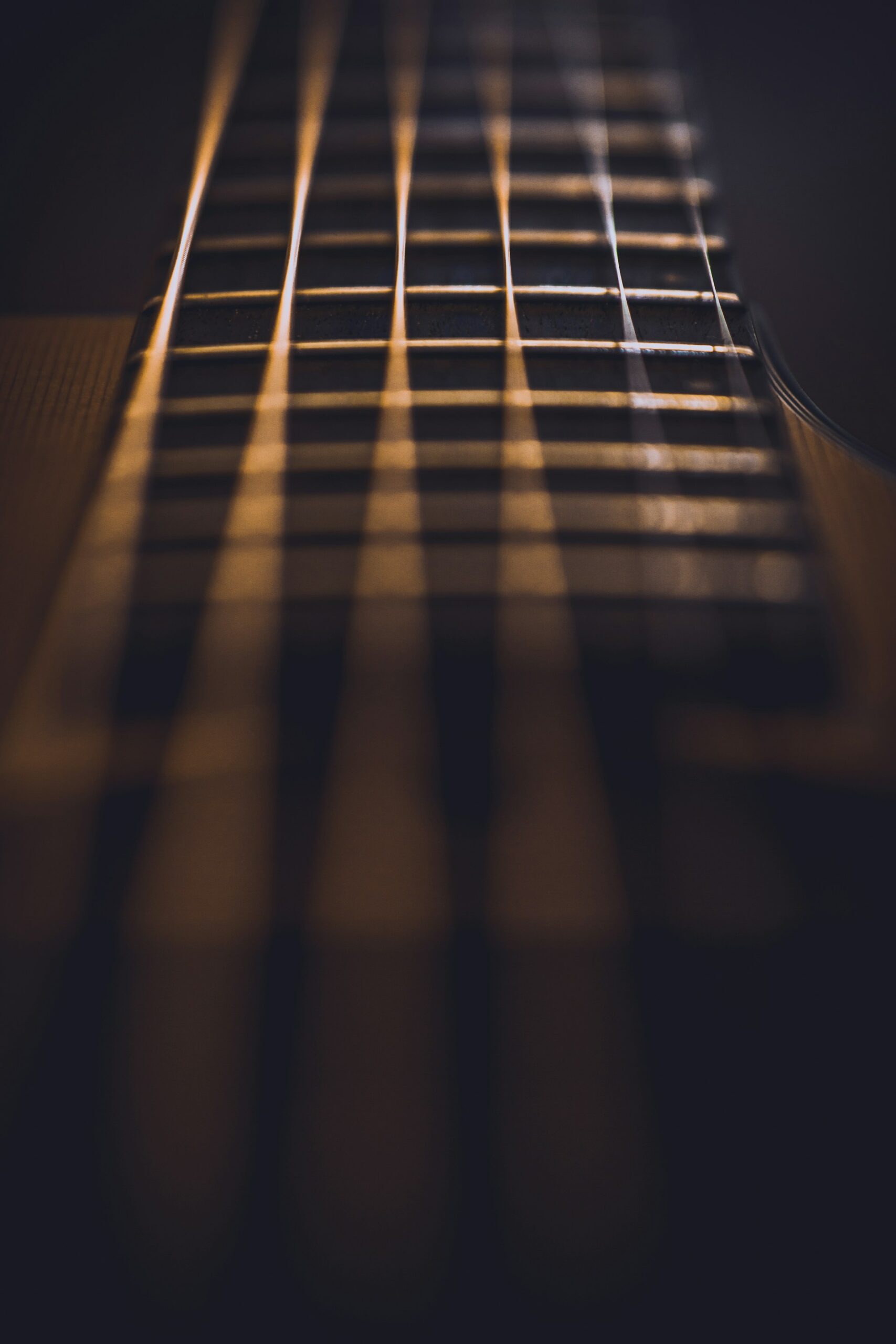 Bronze guitar strings and frets on a dark fingerboard from oblique angle.