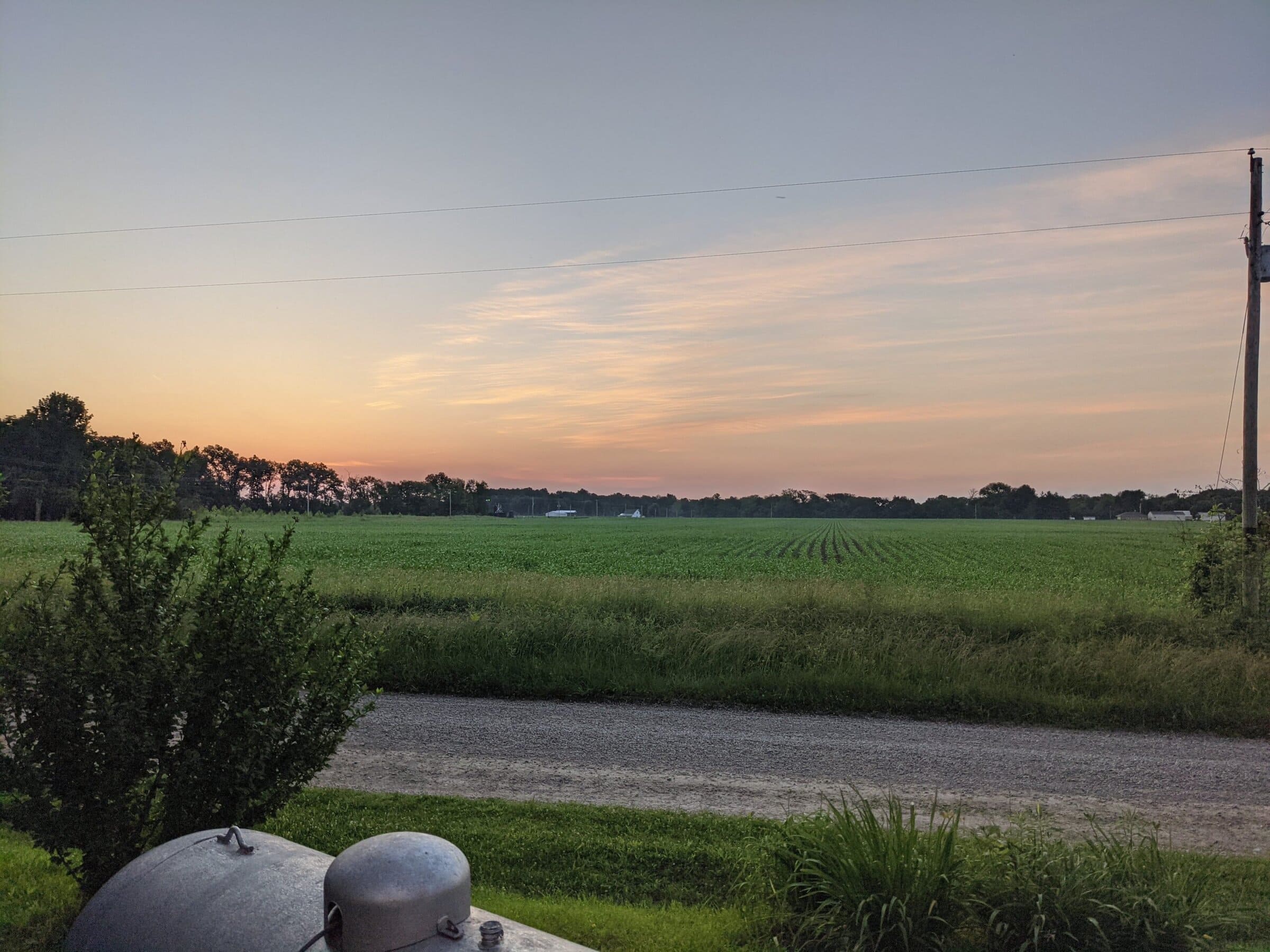 A field of grass with a sunset lowering